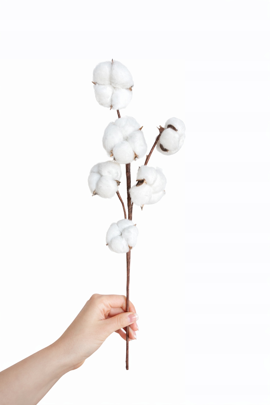 Bawełna Cotton naturalna dekoracyjna 6 główek, 55cm elastyczna gałązka