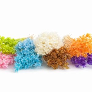 Egzotyczne kwiaty naturalne suszone. Dekoracje Premium 60-70cm 50g