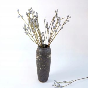 Eukaliptus Eucalyptus Globulus 60cm w pęczku Naturalne Owoce na gałązkach