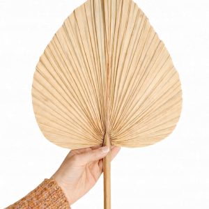 Naturalnie suszony i konserwowany liść palmy palmowy 55/35cm BOHO BALI
