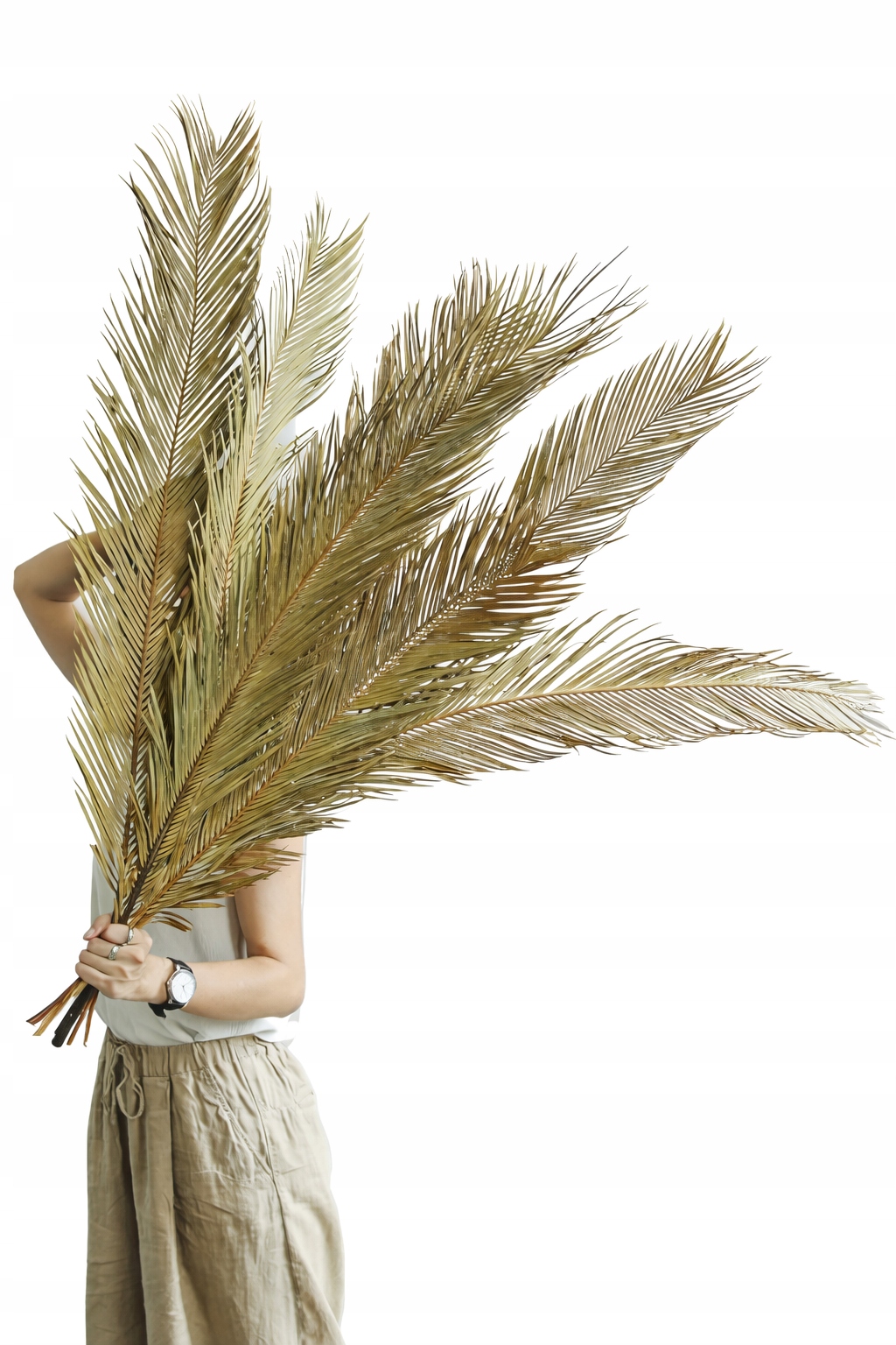 Naturalny Suszony Liść Cykasa -Iron Leaf 90cm Palma Cycas Premium Deco