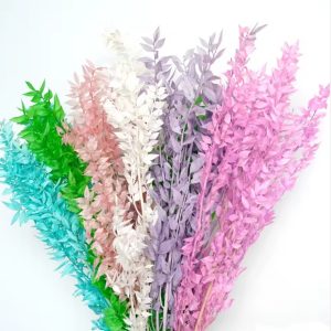 Ruskus (Ruscus) stabilizowany 50-65 cm gałązki premium-