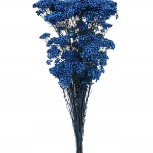 Stabilizowany Kwiat Ryżu – Rice Flower (Ozothamnus Diosmi)